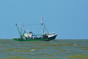 barco de pesca